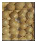 Cerium Zirconia Oxide Satellites Grinding Media